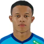 PEDRO HENRIQUE