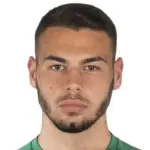 Dominik Radic