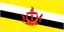 Brunei U20